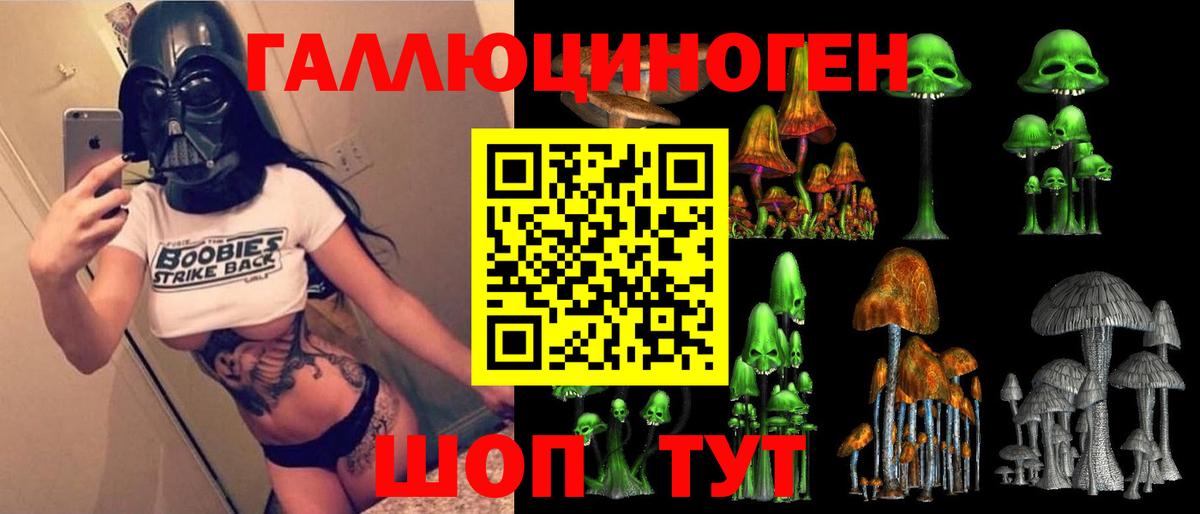 Псилоцибиновые грибы GOLDEN TEACHER Казань