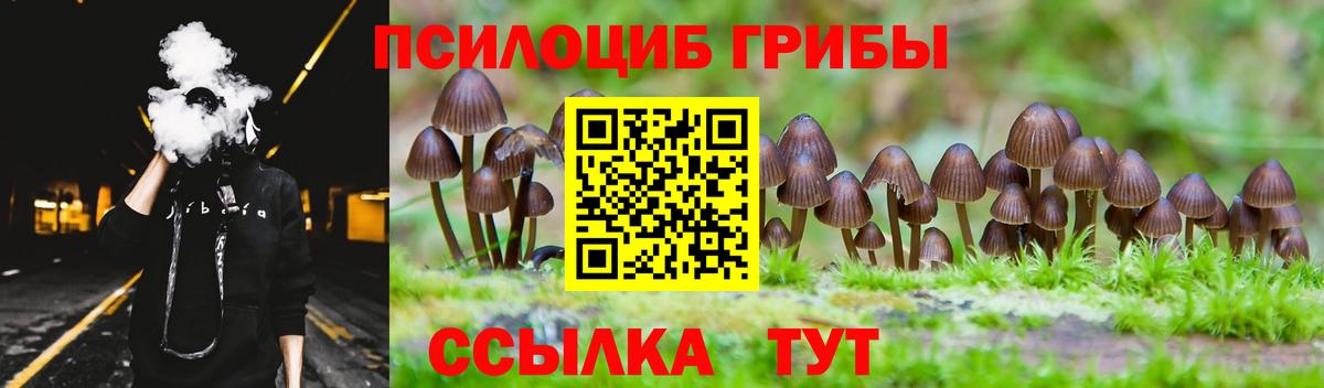 Казань  цена   Галлюциногенные грибы GOLDEN TEACHER  Вход с VPN  Галлюциногенные грибы мухоморы 